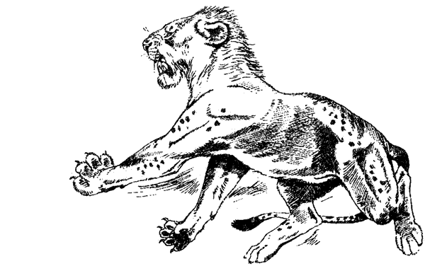 Там, где бродили львы. Последние из свободных - i_095.png