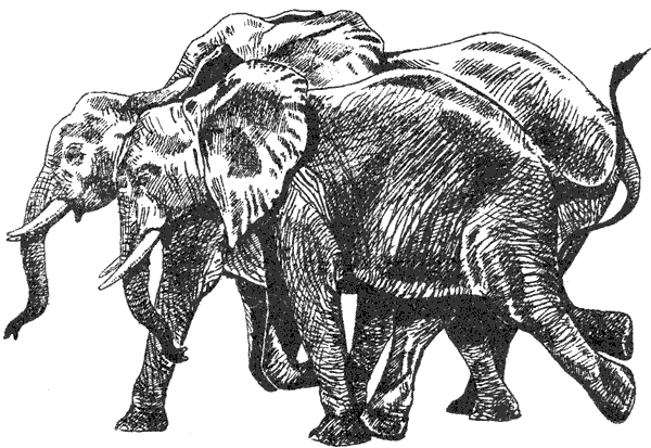 Там, где бродили львы. Последние из свободных - i_101.png