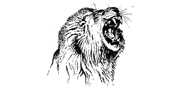 Там, где бродили львы. Последние из свободных - i_102.png