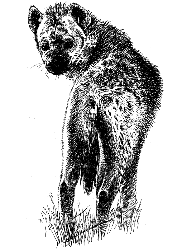 Там, где бродили львы. Последние из свободных - i_104.png