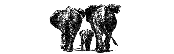 Там, где бродили львы. Последние из свободных - i_127.png