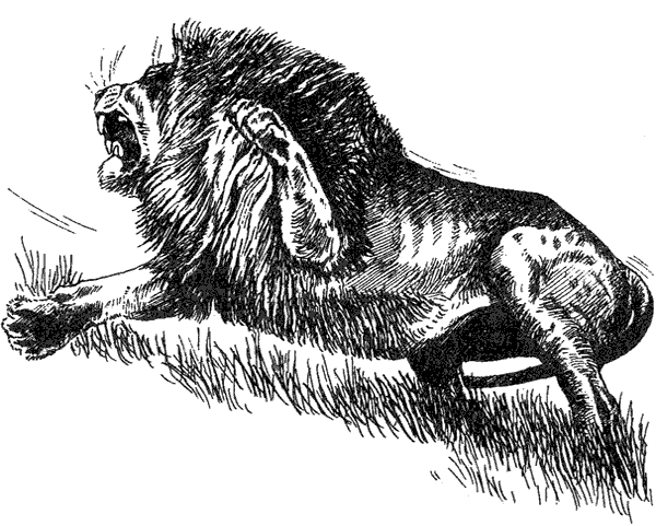 Там, где бродили львы. Последние из свободных - i_130.png