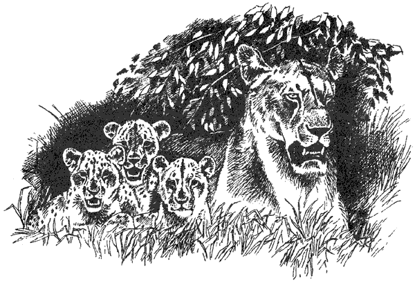 Там, где бродили львы. Последние из свободных - i_131.png