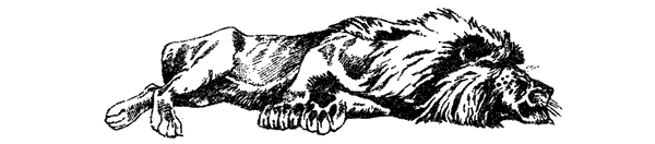 Там, где бродили львы. Последние из свободных - i_133.png