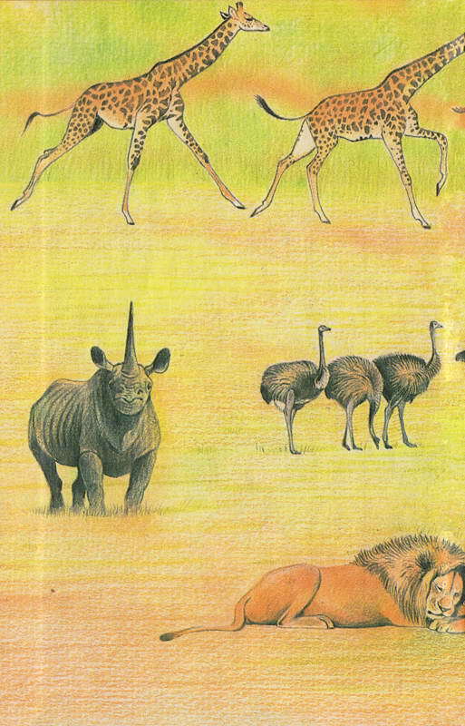 Там, где бродили львы. Последние из свободных - i_141.jpg