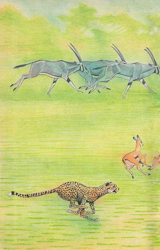 Там, где бродили львы. Последние из свободных - i_143.jpg