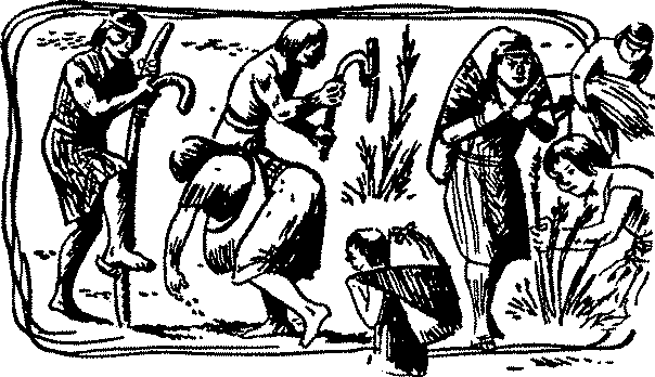 Драмы и трагедии древних инков - img_3.png