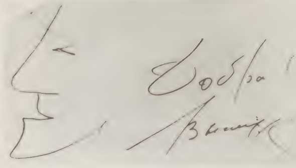 Тайная любовь Высоцкого - i_004.jpg