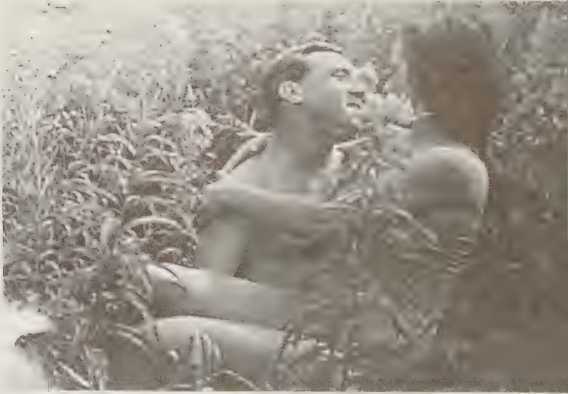 Тайная любовь Высоцкого - i_033.jpg