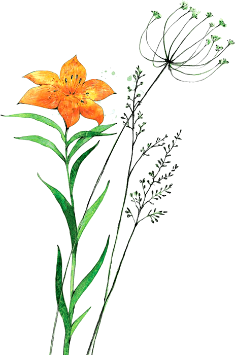 Сказка о храбром богатыре Узоне и его возлюбленной Наюн - i_001.png