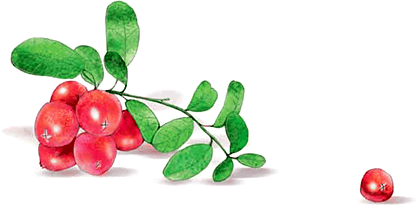 Сказка о храбром богатыре Узоне и его возлюбленной Наюн - i_005.png