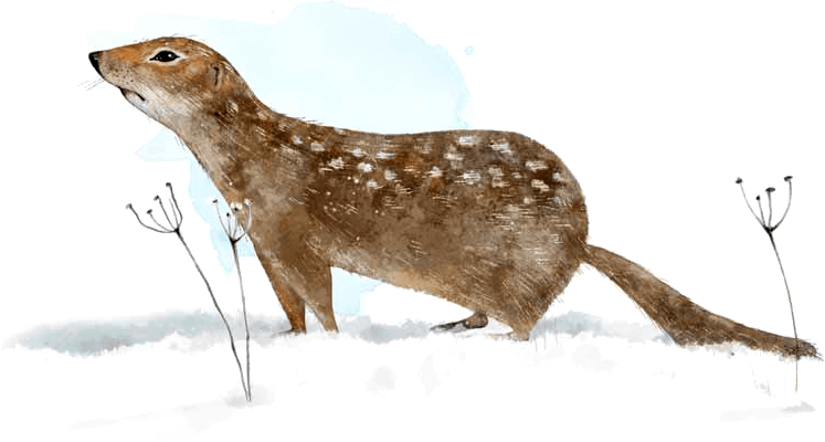 Сказка о храбром богатыре Узоне и его возлюбленной Наюн - i_012.png