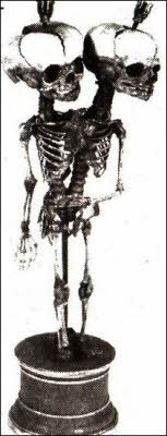 X-files. Секретные материалы 20 века. Досье. 2012 №3 - i_041.jpg