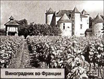 X-files. Секретные материалы 20 века. Досье. 2012 №3 - i_058.jpg