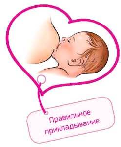 Как подарить малышу здоровье : кормим грудью - _2.jpg