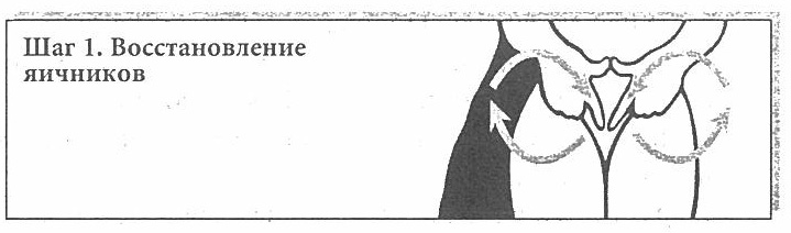 Сексуальное учение Белой тигрицы - img_14.png