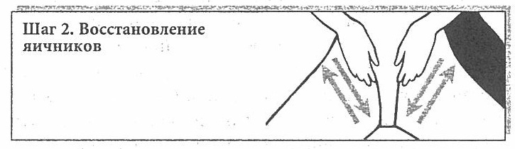 Сексуальное учение Белой тигрицы - img_15.png