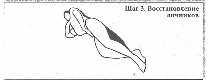 Сексуальное учение Белой тигрицы - img_16.png