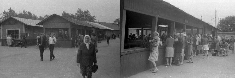 Возродившийся (СИ) - _2.jpg