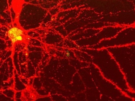 Джон и Дэйв и Храм Кс'аль'наа''тхутхутху (ЛП) - _02.jpg