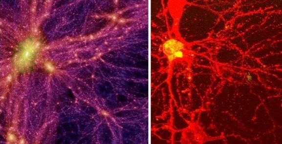 Джон и Дэйв и Храм Кс'аль'наа''тхутхутху (ЛП) - _04.jpg