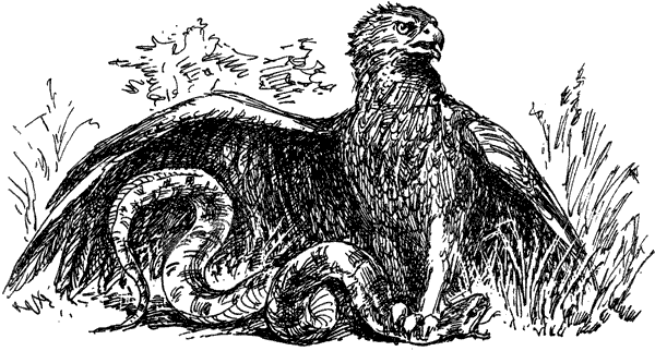 За ядовитыми змеями. Дьявольское отродье - i_010.png