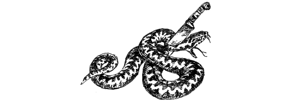 За ядовитыми змеями. Дьявольское отродье - i_011.png