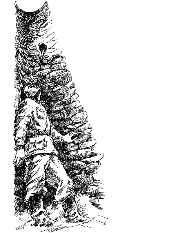 За ядовитыми змеями. Дьявольское отродье - i_013.png