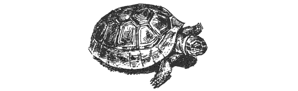 За ядовитыми змеями. Дьявольское отродье - i_014.png