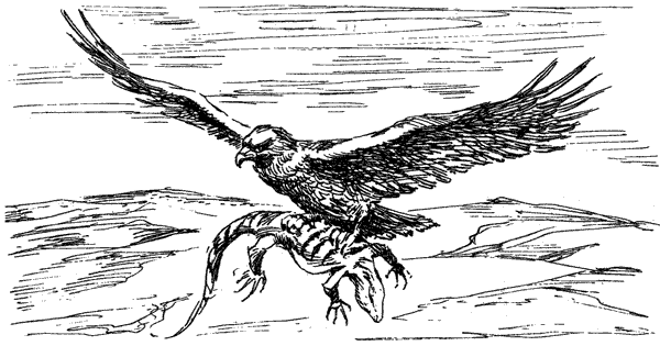 За ядовитыми змеями. Дьявольское отродье - i_015.png