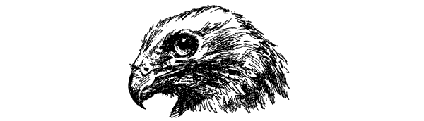 За ядовитыми змеями. Дьявольское отродье - i_016.png