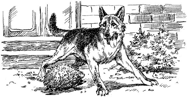 За ядовитыми змеями. Дьявольское отродье - i_017.png