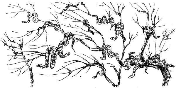 За ядовитыми змеями. Дьявольское отродье - i_021.png