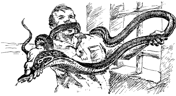 За ядовитыми змеями. Дьявольское отродье - i_025.png