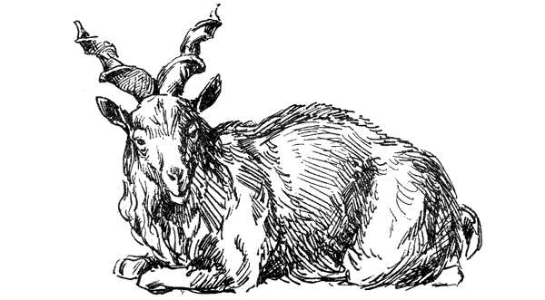 За ядовитыми змеями. Дьявольское отродье - i_026.png