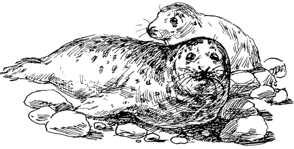 За ядовитыми змеями. Дьявольское отродье - i_031.png