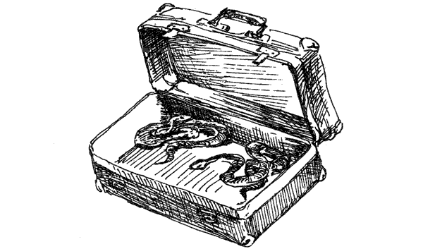 За ядовитыми змеями. Дьявольское отродье - i_032.png