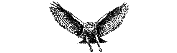 За ядовитыми змеями. Дьявольское отродье - i_033.png