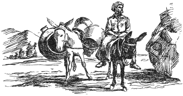 За ядовитыми змеями. Дьявольское отродье - i_034.png