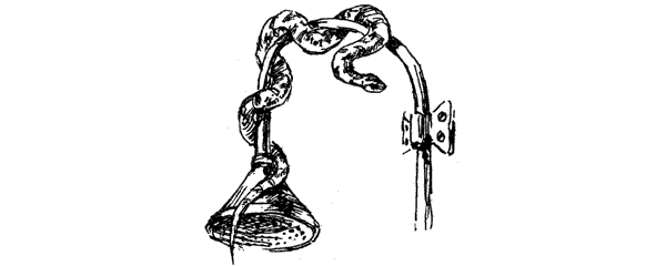 За ядовитыми змеями. Дьявольское отродье - i_035.png