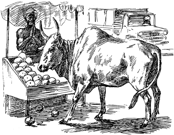 За ядовитыми змеями. Дьявольское отродье - i_037.png