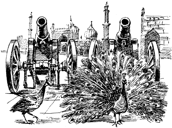 За ядовитыми змеями. Дьявольское отродье - i_038.png