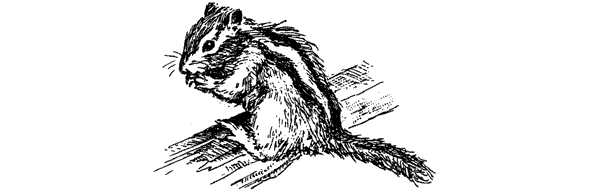 За ядовитыми змеями. Дьявольское отродье - i_039.png