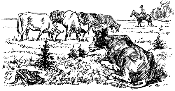 За ядовитыми змеями. Дьявольское отродье - i_040.png