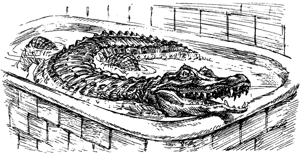 За ядовитыми змеями. Дьявольское отродье - i_043.png