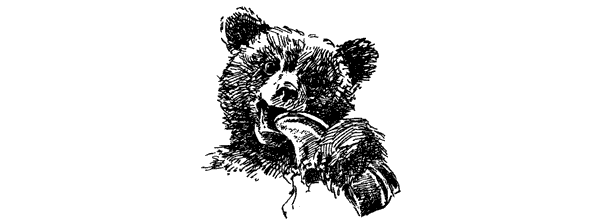 За ядовитыми змеями. Дьявольское отродье - i_045.png