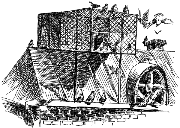 За ядовитыми змеями. Дьявольское отродье - i_047.png
