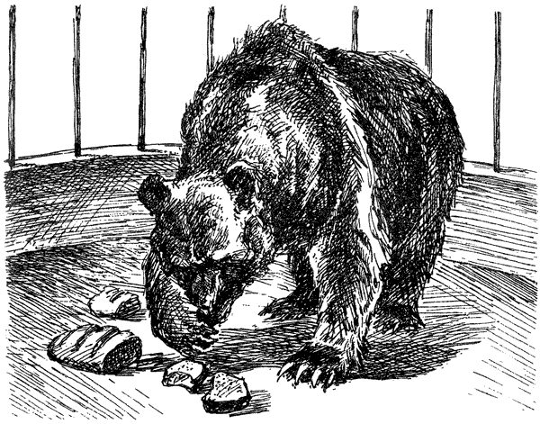 За ядовитыми змеями. Дьявольское отродье - i_049.png