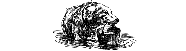 За ядовитыми змеями. Дьявольское отродье - i_050.png