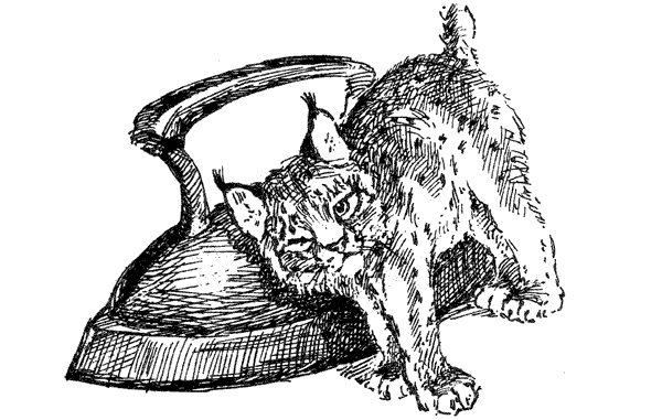 За ядовитыми змеями. Дьявольское отродье - i_053.png